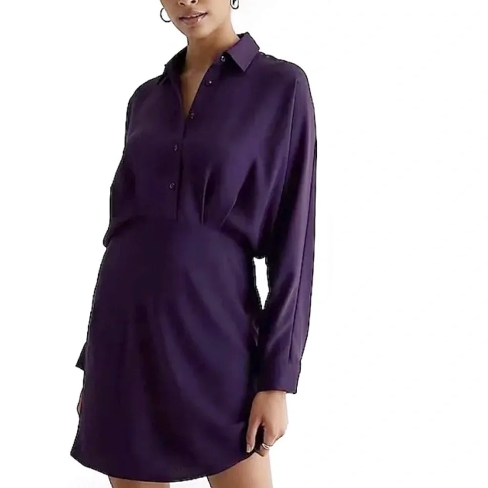 Express Portofino Collared Shirt Dress – Purple – NWT – Size Small - Picture 3 of 6
